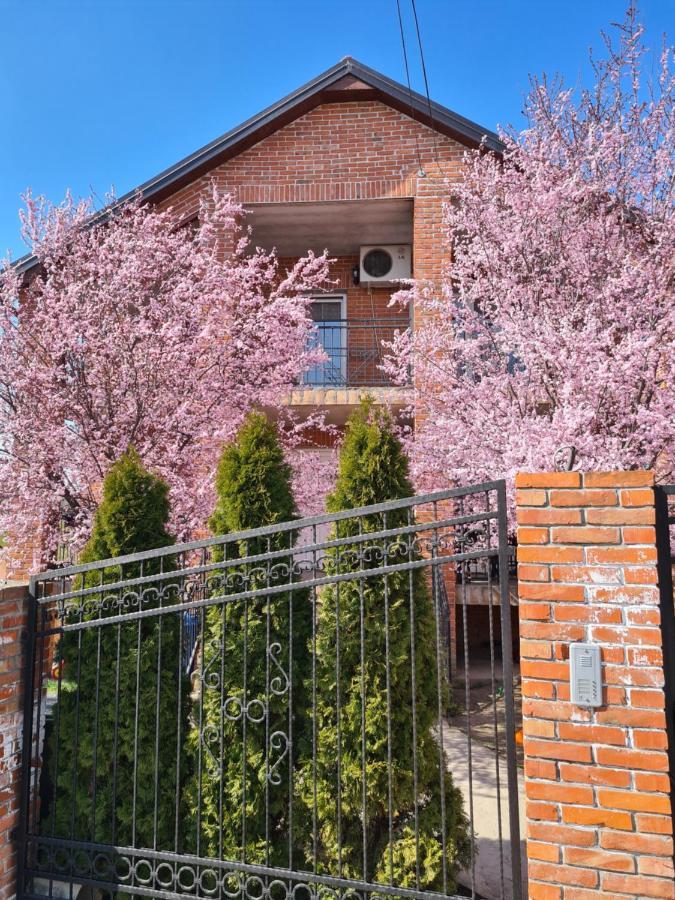 Apartment Ken Surčin Dış mekan fotoğraf